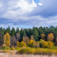 Лосиный остров :: Владимир Лазарев