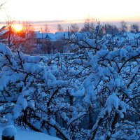 Зимним утром :: Валерий Толмачев