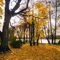 Осень в пригороде 2 :: Виталий 