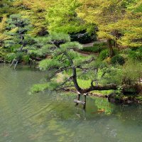Нагоя ботанический сад Higashiyama :: wea *