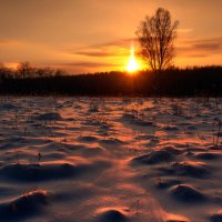Солнце по снегу :: Владимир Миронов