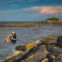 Белое море :: Валентин Кузьмин