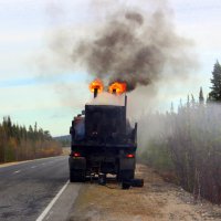 Огнедышащий дракон. :: Галина Полина