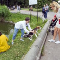 Москва. Парк культуры :: Владимир Шибинский