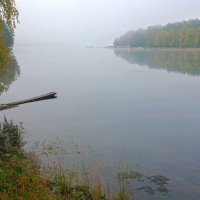 Утренний туман :: Анатолий Иргл