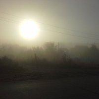 Туман 1 :: Роман Геннадьевич 