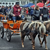 1026-ой ДЕНЬ ГОРОДА  ВЛАДИМИРА :: Валерий Викторович РОГАНОВ-АРЫССКИЙ