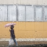 Дождь :: Сергей Елесин