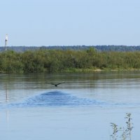 Взлетная полоса :: Людмила Жданова