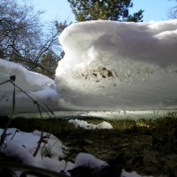 Над землей / Под снегом :: Виталий Купченко