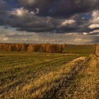 Зависли к горизонту облака :: Сергей Жуков