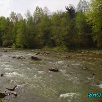 Горная   река   в   Ворохте :: Андрей  Васильевич Коляскин