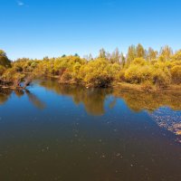 Водная гладь :: Анатолий Иргл