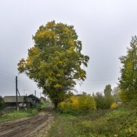 осенний день :: gribushko грибушко Николай