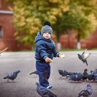 малыш и голуби :: Олька Никулочкина