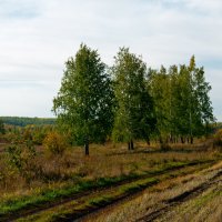 ... :: Владимир Новиков