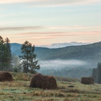 Осеннее утро :: Галина Шепелева