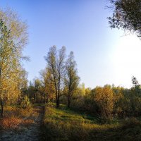 Осенний пейзаж в лучах закатного солнца. :: Vadim Piottukh 