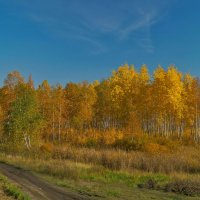 Осень :: Александр Смирнов