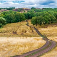 Дорожная :: Любовь Потеряхина