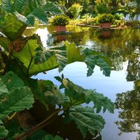 Planten un Blomen. Hamburg :: Nina Yudicheva