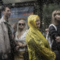 Летний дождь :: Людмила Синицына