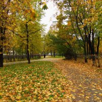 Зрелая осень :: Андрей Лукьянов