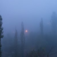 Утро туманное... :: Инга Мысловская