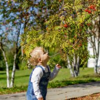 Интересненько... :: Ирина Белоусова