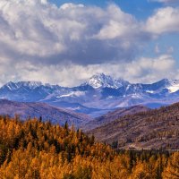 Осень в горах Алтая :: Галина Шепелева