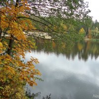 Природа готовится к зиме :: Лидия (naum.lidiya)