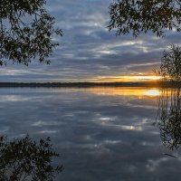 ... :: Виктор Желенговский