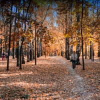Осень в парке :: Александр Табаков