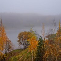 Осенний утренний туман :: Анатолий 