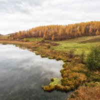 Лебединое озеро :: Дмитрий Погодин