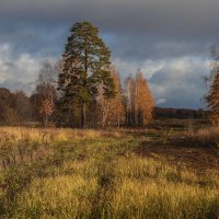 Осенняя палитра... :: Владимир Хиль