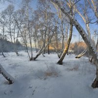 короток зимний день :: Евгений Кокухин 