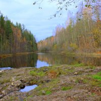 ОСЕНЬ В КАРЕЛИИ :: Николай Гренков