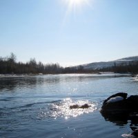 Лучи Солнца на реке.... :: Любовь Иванова