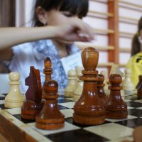 шахматный турнир :: Светлана 