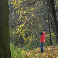 Золотая осень в графском парке :: Олег Пучков