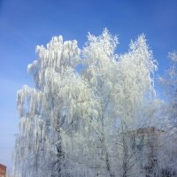 «Конечная остановка». :: Андрей .