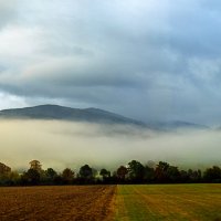 ** :: Александр Липовецкий