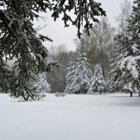 Внезапный снегопад :: Милешкин Владимир Алексеевич 