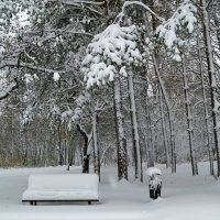 Внезапный снегопад :: Милешкин Владимир Алексеевич 