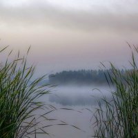 Предрассветный туман :: Владимир Орлов