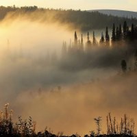 Солнце гребнем золотым расчёсывает седые космы тумана :: Сергей Чиняев 