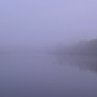 Туман над озером :: Валентина Данилова