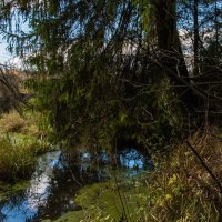 В гости к Бабе-Яге :: Владимир Безбородов