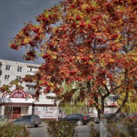 Осень в Вологде :: Валерий Талашов